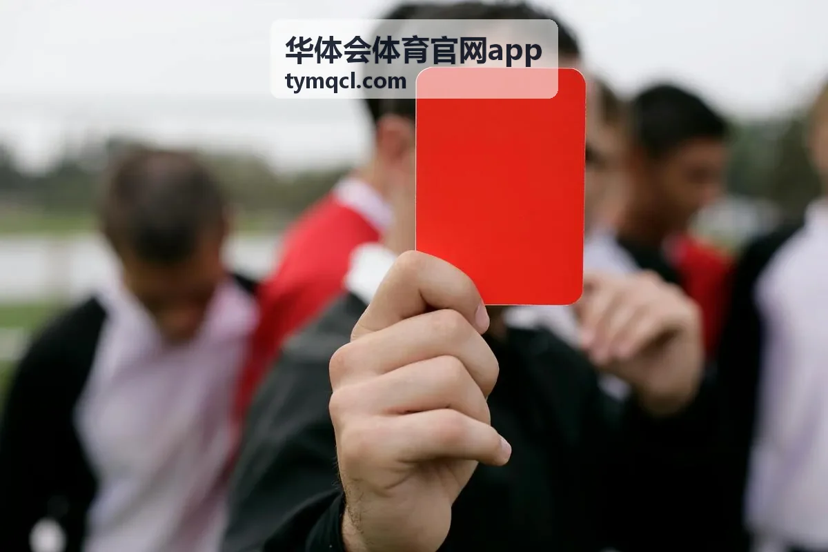 华体会体育官网app 新赛季前瞻与阵容盘点合集封面